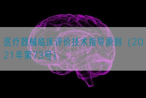 醫(yī)療器械臨床評價技術指導原則（2021年第73號）