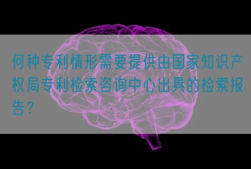 何種專利情形需要提供由國家知識產權局專利檢索咨詢中心出具的檢索報告？(圖1)