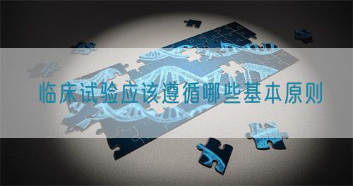臨床試驗(yàn)應(yīng)該遵循哪些基本原則(圖1)